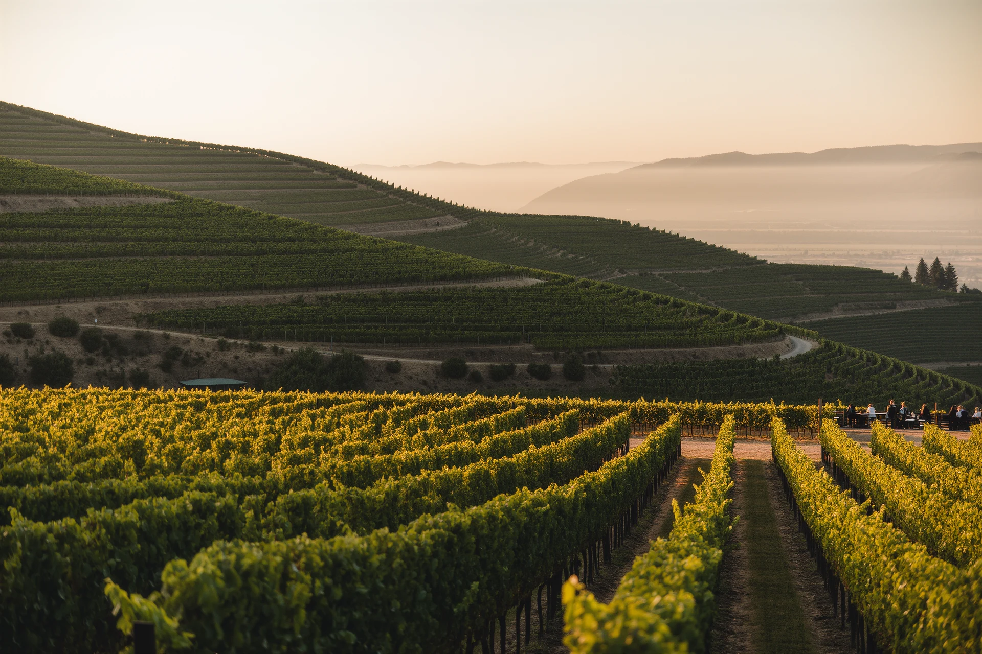 Weinregionen Europa: Entdecken Sie die Vielfalt der europäischen Weine
