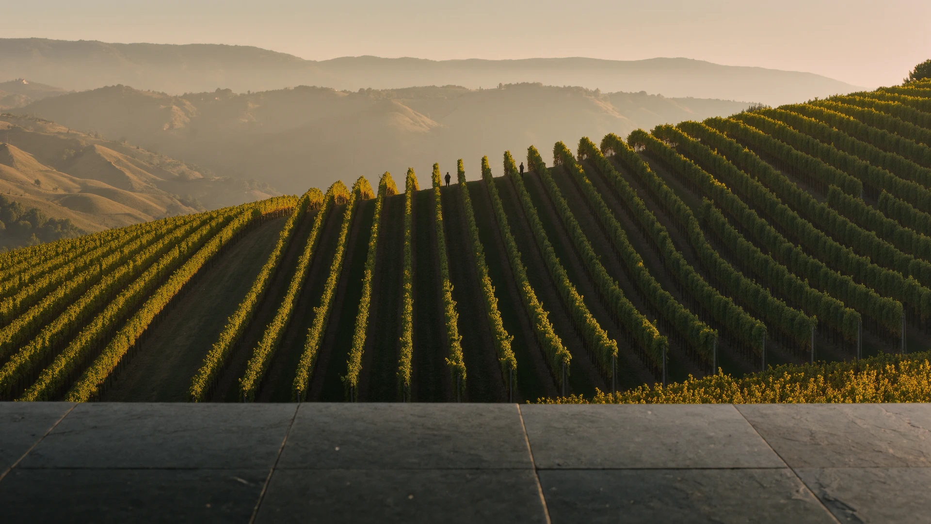 Weinreisen Europa: Entdecken Sie die besten Weingüter und Regionen